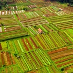 Экологические принципы в слот игре Bigger Barn House Bonanza