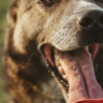 Бездепозитные бонусы казино для экономных игроков