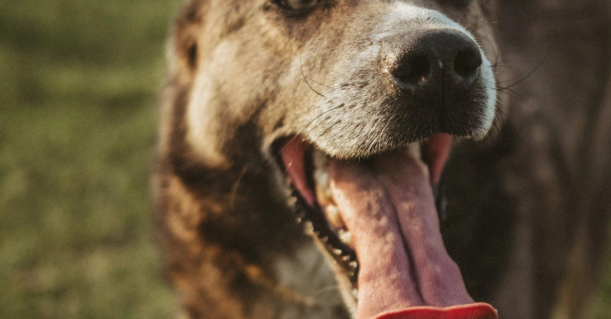 Бездепозитные бонусы казино для экономных игроков