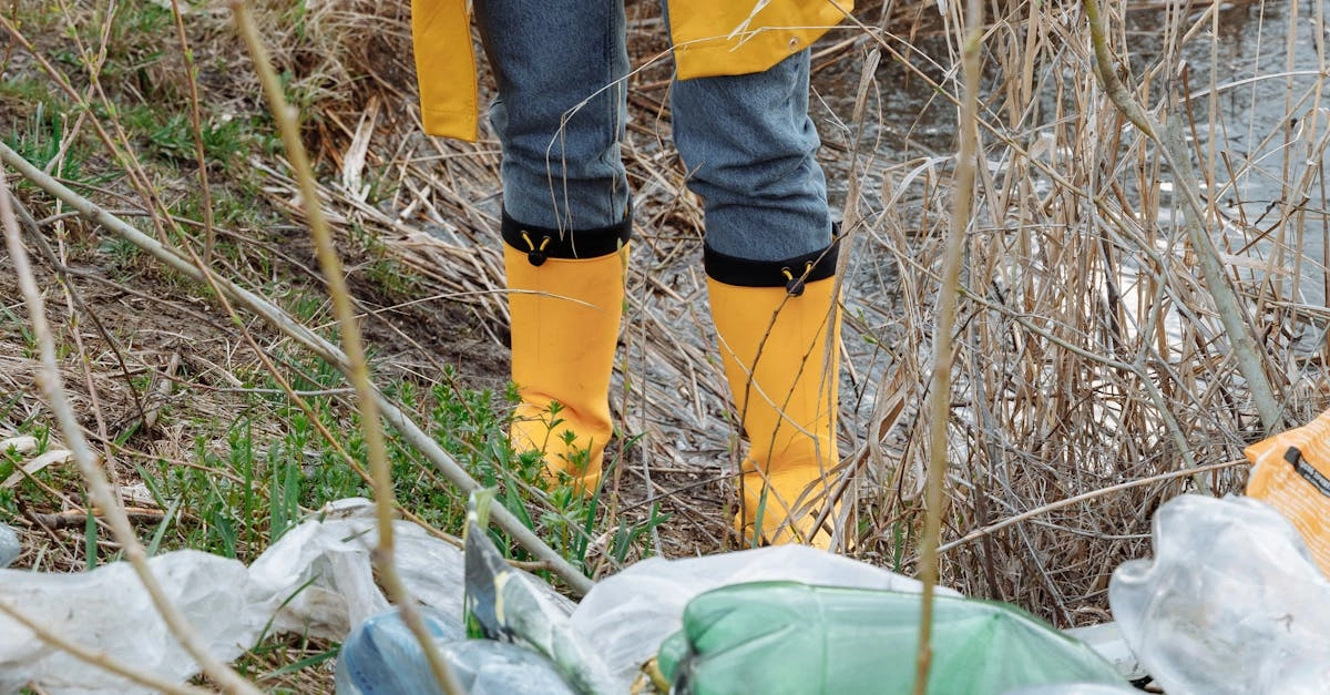 Экологичный подход к играм и экономия энергии при геймеплее